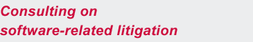 Consulting on software-related litigation